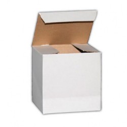 Caja Blanca Para Jarros Sublimables