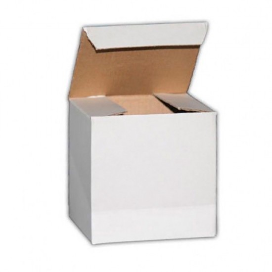 Caja Blanca Para Jarros Sublimables