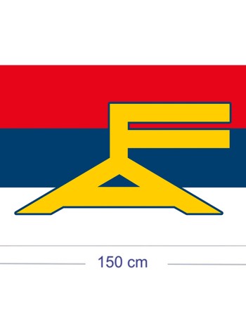 Bandera Frente Amplio Poliester 150-90