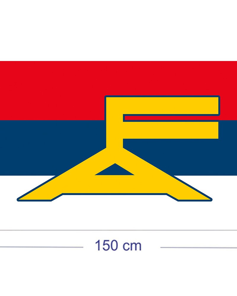 Bandera Frente Amplio Poliester 150-90