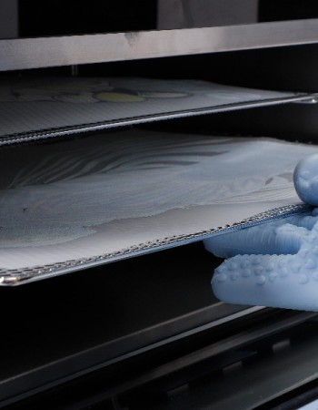 Horno DTF OTTER con Purificador