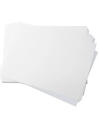 Papel Transfer DTF Otter Pro A3 100H